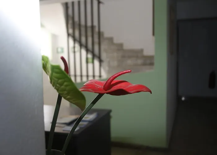 George's Kardamena (Kos)