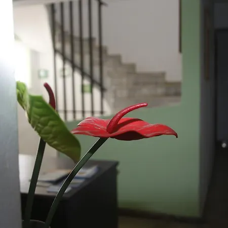 George's Kardamena (Kos)